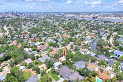 Land in Tampa, Florida № 1767004 - photo 11