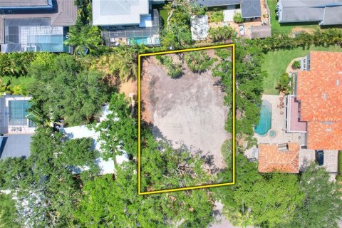 Land in Tampa, Florida № 1767004 - photo 3