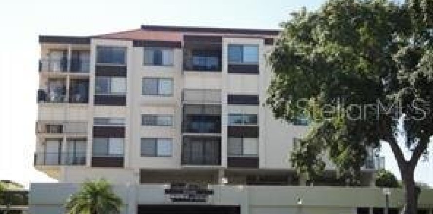 Studio à Condo à Saint Petersburg, Floride № 847125