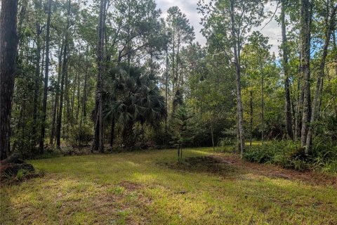 Land in New Smyrna Beach, Florida № 1914038 - photo 13