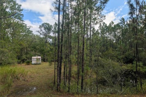 Land in New Smyrna Beach, Florida № 1914038 - photo 7