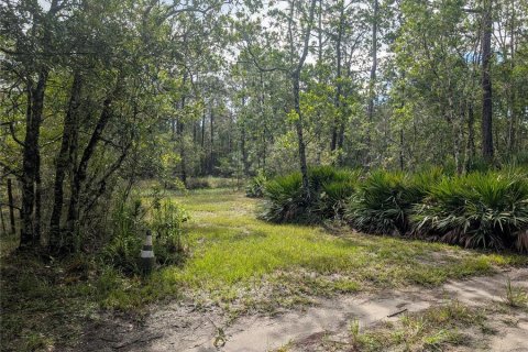Land in New Smyrna Beach, Florida № 1914038 - photo 2