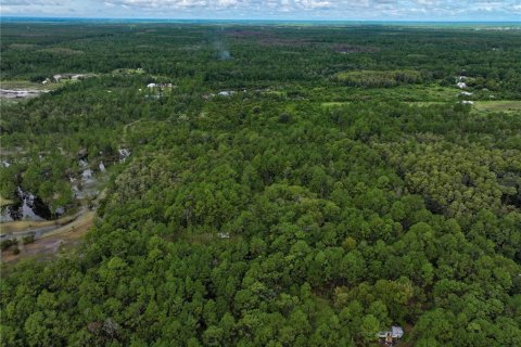 Land in New Smyrna Beach, Florida № 1914038 - photo 20