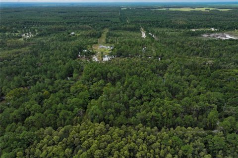 Land in New Smyrna Beach, Florida № 1914038 - photo 23