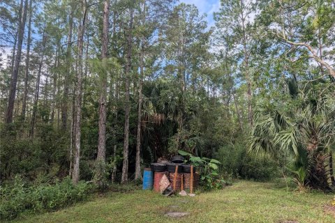 Land in New Smyrna Beach, Florida № 1914038 - photo 5