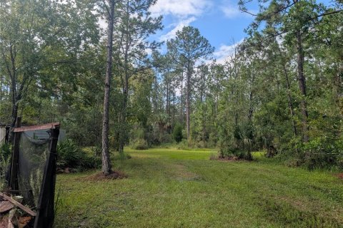 Land in New Smyrna Beach, Florida № 1914038 - photo 4