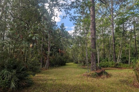 Land in New Smyrna Beach, Florida № 1914038 - photo 12