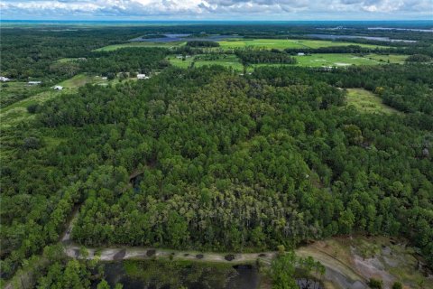 Land in New Smyrna Beach, Florida № 1914038 - photo 25