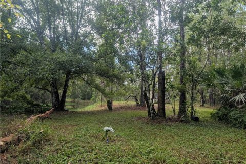 Land in New Smyrna Beach, Florida № 1914038 - photo 9