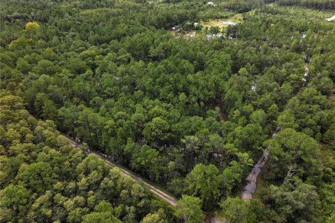 Land in New Smyrna Beach, Florida № 1914038 - photo 21