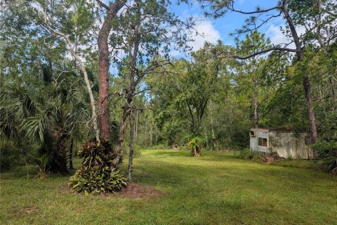 Land in New Smyrna Beach, Florida № 1914038 - photo 6