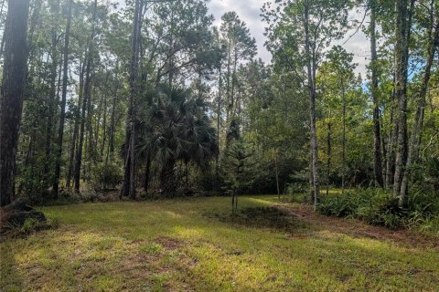 Land in New Smyrna Beach, Florida № 1914038 - photo 10