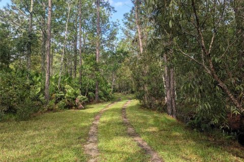 Land in New Smyrna Beach, Florida № 1914038 - photo 11