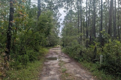 Land in New Smyrna Beach, Florida № 1914038 - photo 14