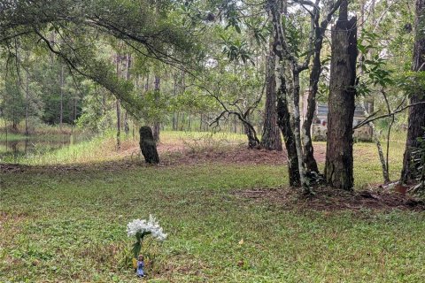 Land in New Smyrna Beach, Florida № 1914038 - photo 8