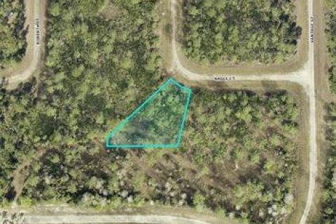 Land in Lehigh Acres, Florida № 2163884