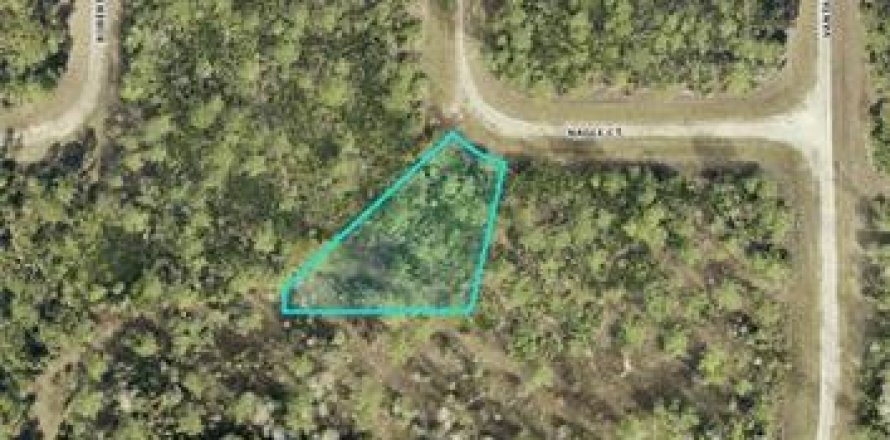 Land in Lehigh Acres, Florida № 2163884