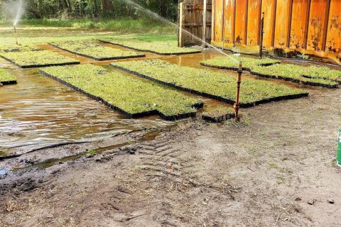 Commercial property in New Port Richey, Florida 115.38 sq.m. № 429341 - photo 4