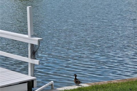 Villa ou maison à louer à Sun City Center, Floride: 2 chambres, 148.92 m2 № 1879226 - photo 29