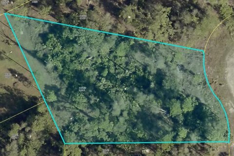 Land in Lehigh Acres, Florida № 2161476