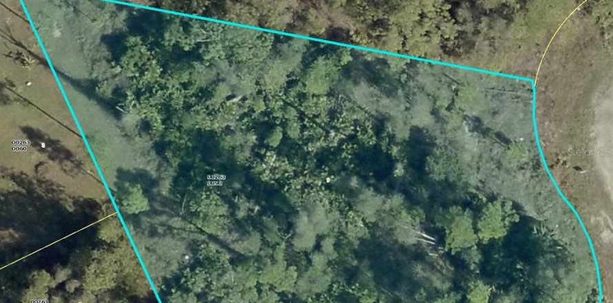 Land in Lehigh Acres, Florida № 2161476