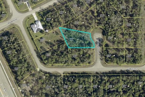 Land in Lehigh Acres, Florida № 2161476 - photo 2