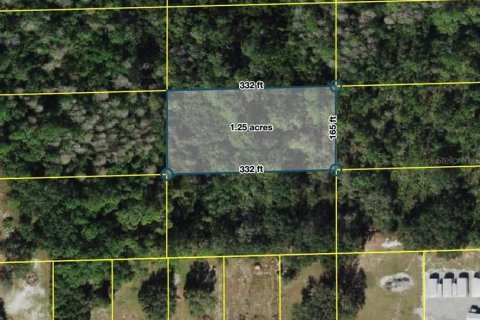 Land in Polk City, Florida № 2160805 - photo 2