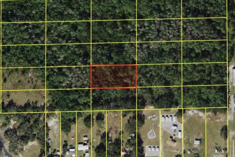 Land in Polk City, Florida № 2160805 - photo 3