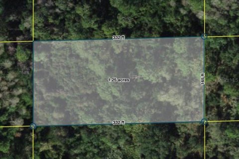 Land in Polk City, Florida № 2160805
