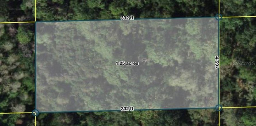 Land in Polk City, Florida № 2160805
