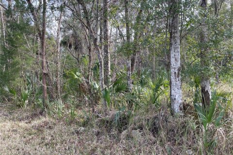 Land in Homosassa, Florida № 2159295 - photo 3