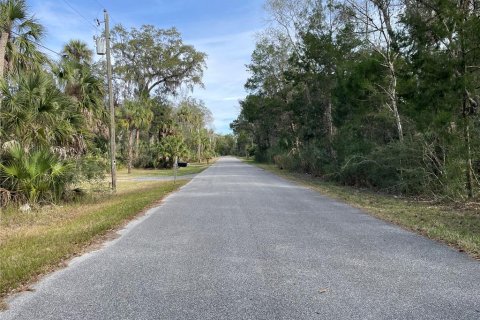 Land in Homosassa, Florida № 2159295 - photo 2