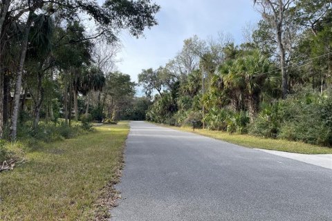 Land in Homosassa, Florida № 2159295 - photo 4