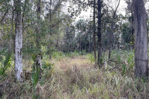 Land in Homosassa, Florida № 2159295