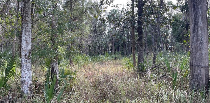 Land in Homosassa, Florida № 2159295