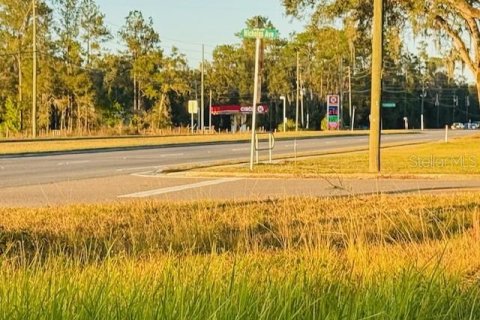 Land in Brooksville, Florida № 2166593 - photo 7