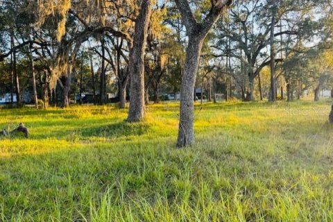 Land in Brooksville, Florida № 2166593 - photo 11