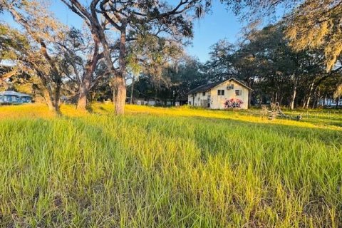 Land in Brooksville, Florida № 2166593 - photo 5