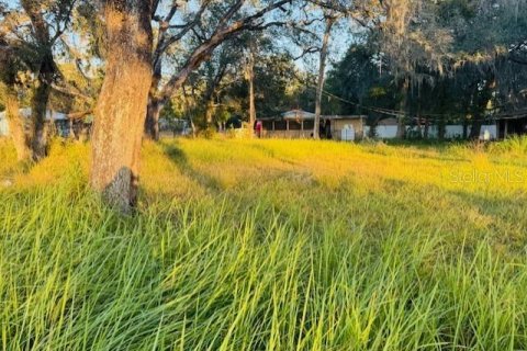 Land in Brooksville, Florida № 2166593 - photo 8