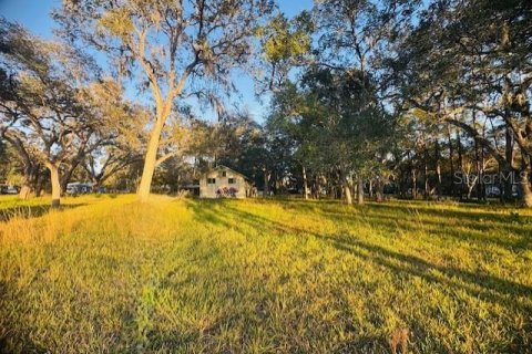 Land in Brooksville, Florida № 2166593 - photo 2