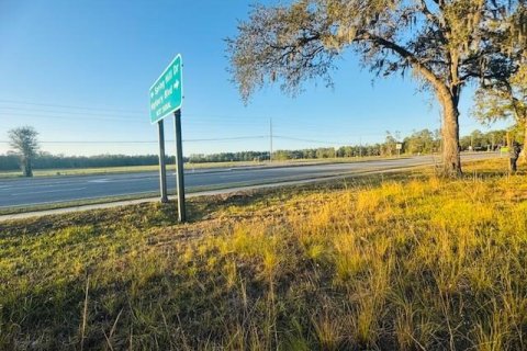 Land in Brooksville, Florida № 2166593 - photo 4