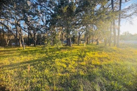 Land in Brooksville, Florida № 2166593 - photo 3