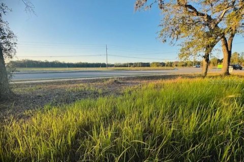 Land in Brooksville, Florida № 2166593 - photo 6