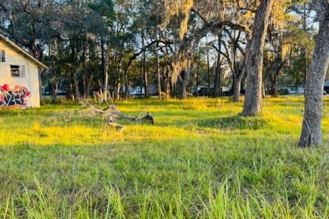 Land in Brooksville, Florida № 2166593 - photo 10