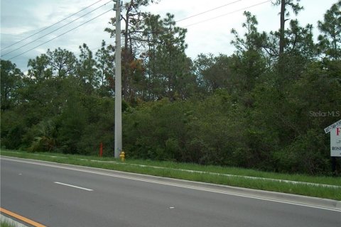 Terreno en venta en Deltona, Florida № 212827 - foto 1