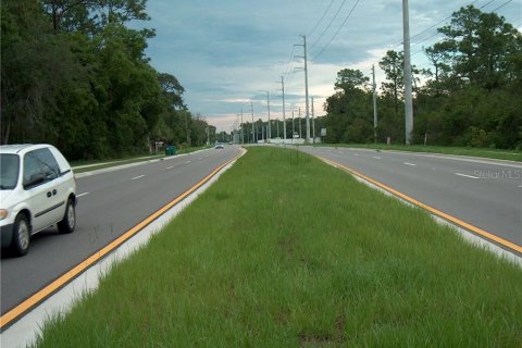 Terreno en venta en Deltona, Florida № 212827 - foto 5