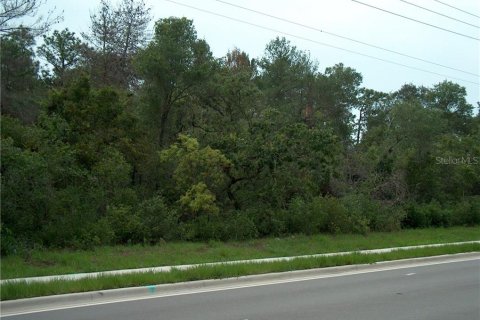 Terreno en venta en Deltona, Florida № 212827 - foto 4