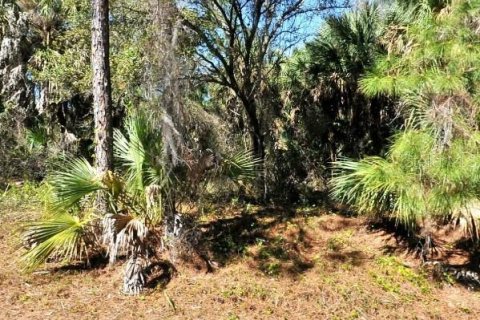 Land in North Port, Florida № 2159293 - photo 2