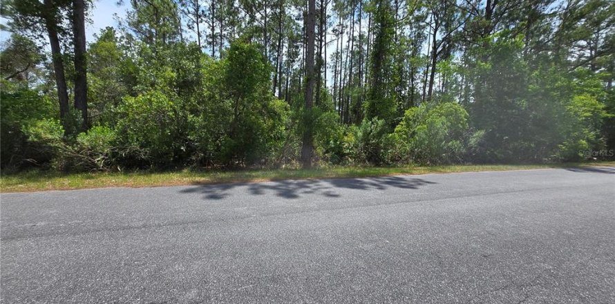 Terreno en Eustis, Florida № 1732568