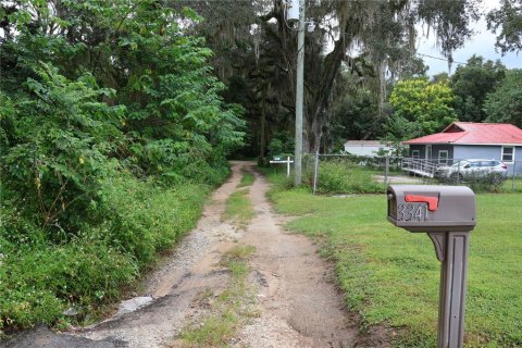 Land in Ocala, Florida № 2214958 - photo 2